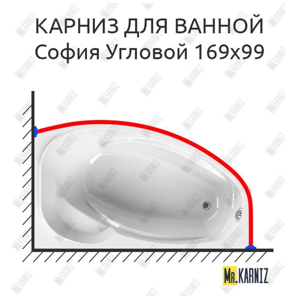 Карниз для ванны Radomir София Угловой 169х99 Усиленный 20 мм MrKARNIZ